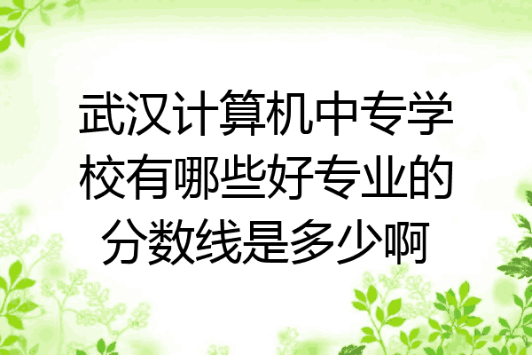 武汉计算机中专学校有哪些好专业的分数线是多少啊