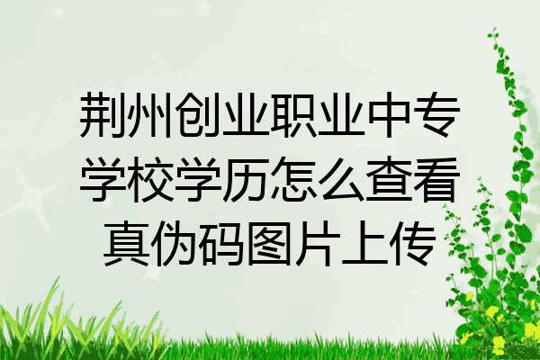 荆州创业职业中专学校学历怎么查看真伪码图片上传