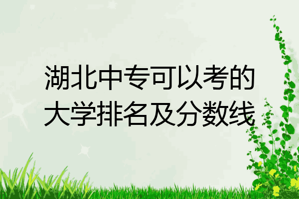湖北中专可以考的大学排名及分数线