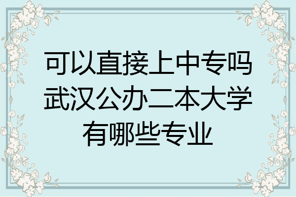 可以直接上中专吗武汉公办二本大学有哪些专业