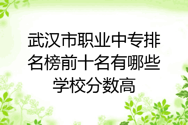 武汉市职业中专排名榜前十名有哪些学校分数高