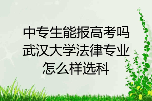 中专生能报高考吗武汉大学法律专业怎么样选科