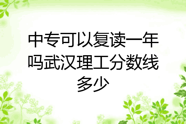 中专可以复读一年吗武汉理工分数线多少