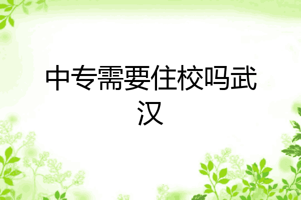 中专需要住校吗武汉