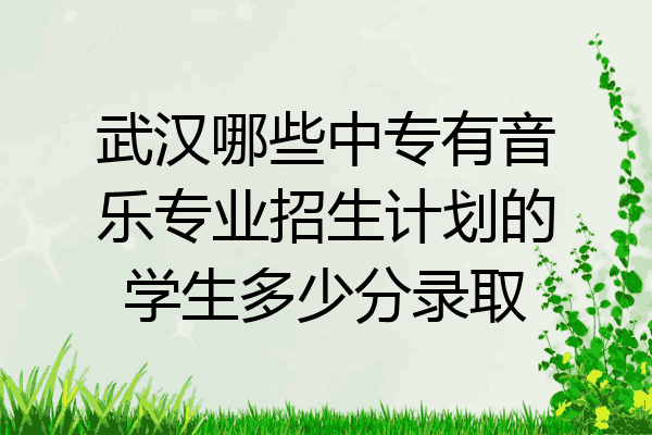 武汉哪些中专有音乐专业招生计划的学生多少分录取