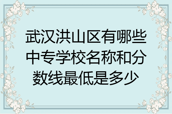 武汉洪山区有哪些中专学校名称和分数线最低是多少