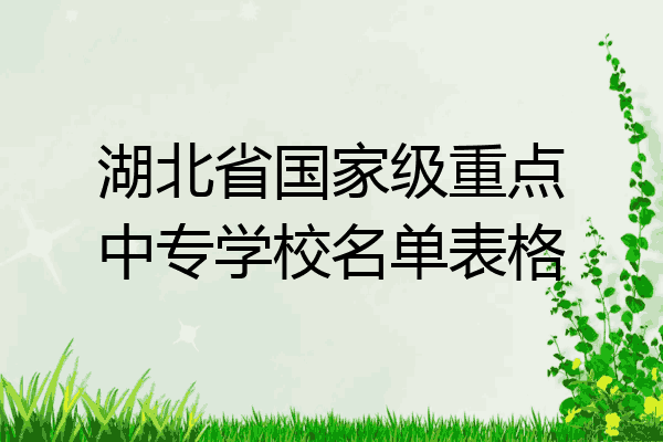 湖北省国家级重点中专学校名单表格
