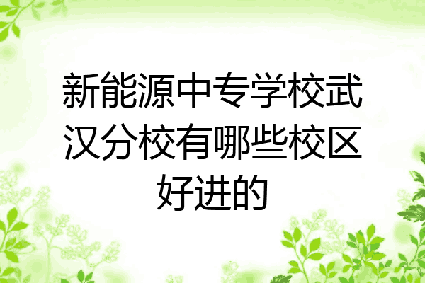 新能源中专学校武汉分校有哪些校区好进的