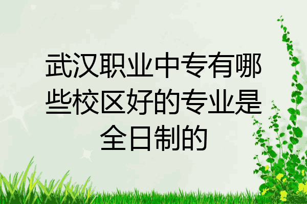 武汉职业中专有哪些校区好的专业是全日制的