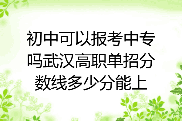 初中可以报考中专吗武汉高职单招分数线多少分能上