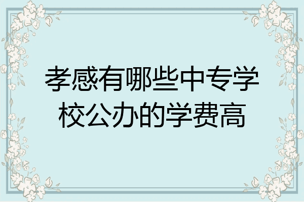 孝感有哪些中专学校公办的学费高
