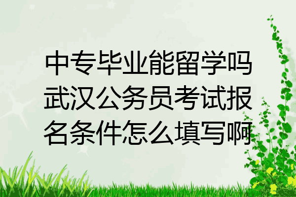 中专毕业能留学吗武汉公务员考试报名条件怎么填写啊