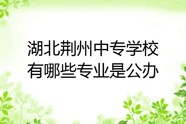 湖北荆州中专学校有哪些专业是公办
