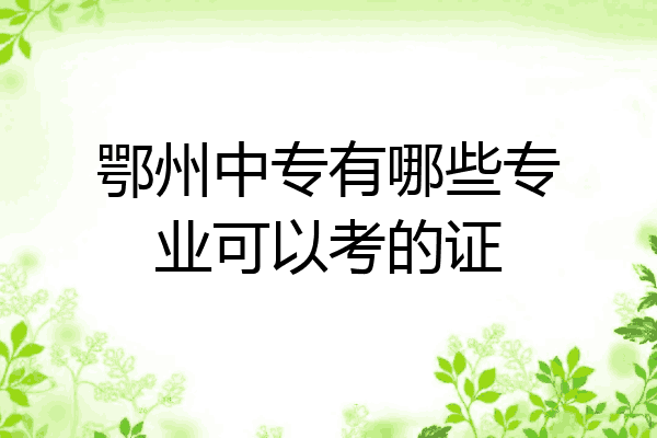 鄂州中专有哪些专业可以考的证
