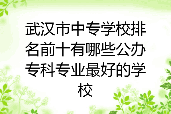 武汉市中专学校排名前十有哪些公办专科专业最好的学校
