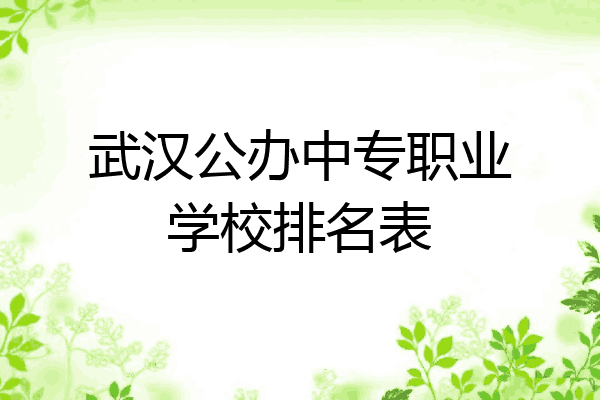 武汉公办中专职业学校排名表