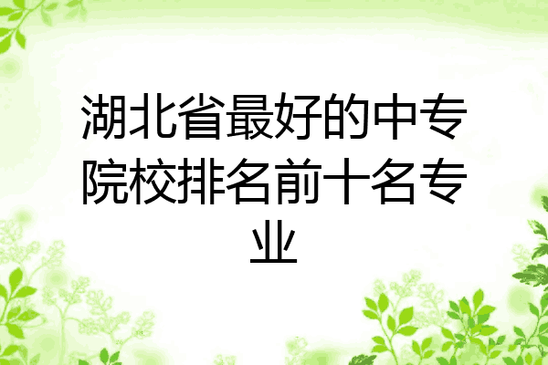 湖北省最好的中专院校排名前十名专业