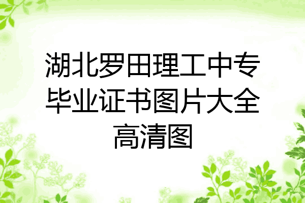湖北罗田理工中专毕业证书图片大全高清图