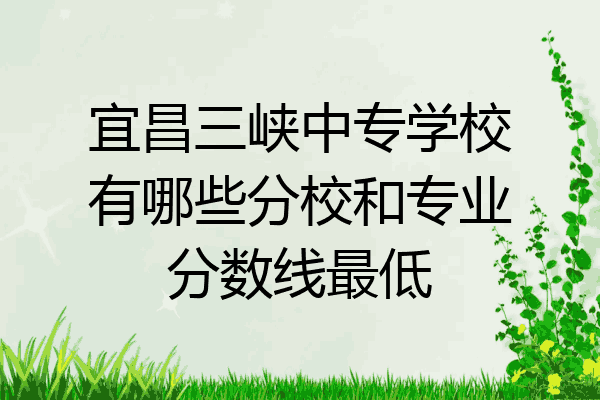宜昌三峡中专学校有哪些分校和专业分数线最低