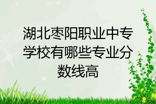 湖北枣阳职业中专学校有哪些专业分数线高