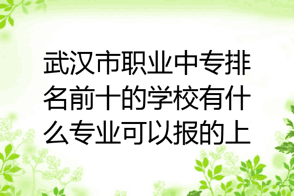 武汉市职业中专排名前十的学校有什么专业可以报的上