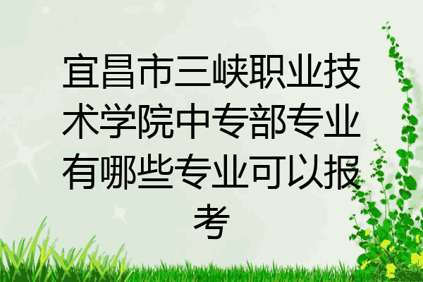 宜昌市三峡职业技术学院中专部专业有哪些专业可以报考