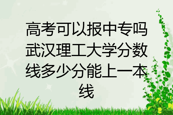 高考可以报中专吗武汉理工大学分数线多少分能上一本线
