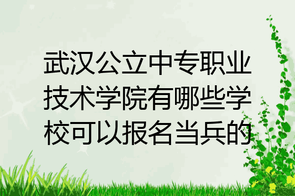 武汉公立中专职业技术学院有哪些学校可以报名当兵的