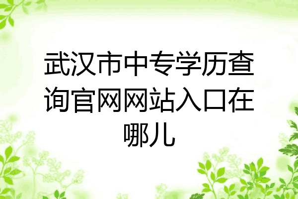 武汉市中专学历查询官网网站入口在哪儿