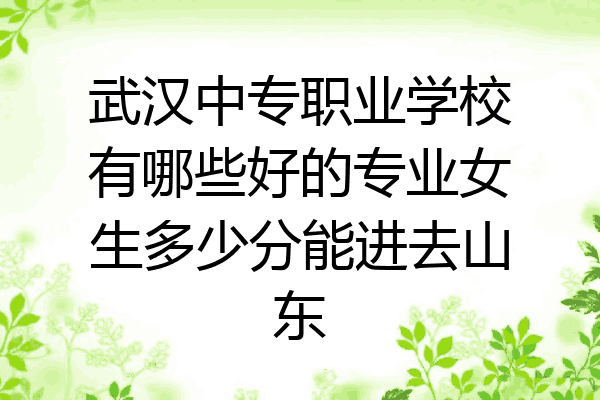 武汉中专职业学校有哪些好的专业女生多少分能进去山东