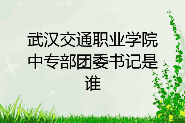 武汉交通职业学院中专部团委书记是谁