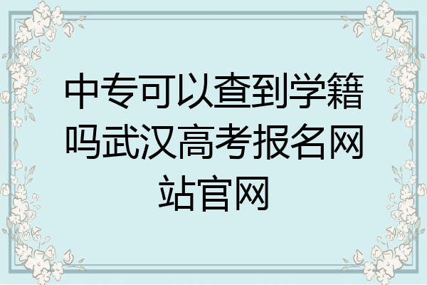 中专可以查到学籍吗武汉高考报名网站官网