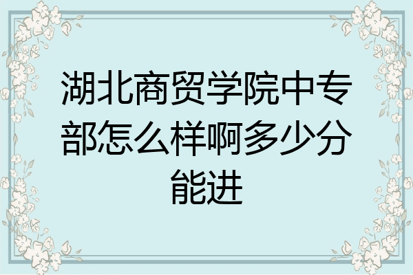 湖北商贸学院中专部怎么样啊多少分能进