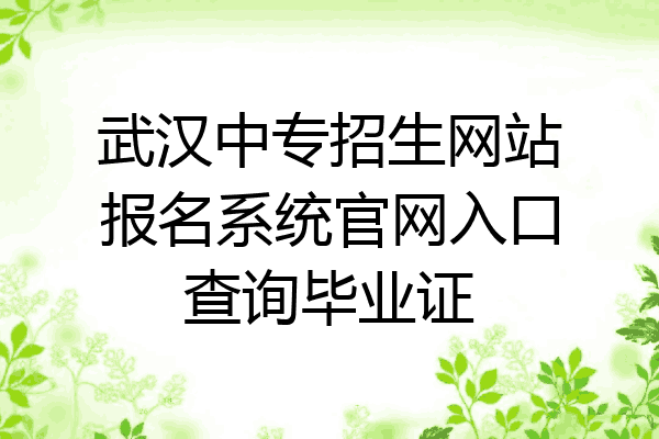 武汉中专招生网站报名系统官网入口查询毕业证