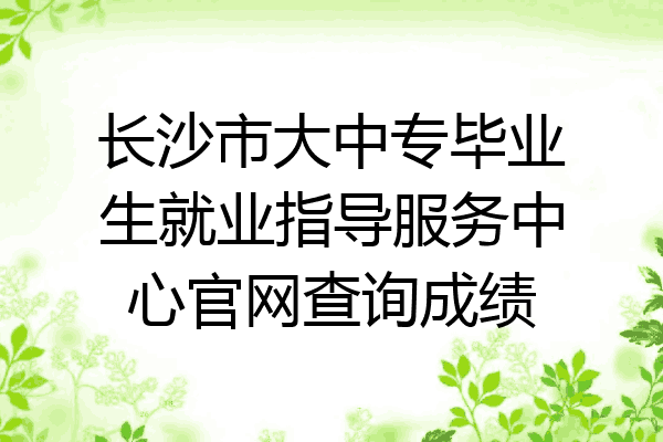 长沙市大中专毕业生就业指导服务中心官网查询成绩