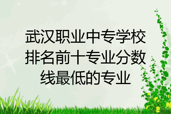 武汉职业中专学校排名前十专业分数线最低的专业