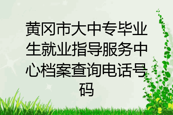 黄冈市大中专毕业生就业指导服务中心档案查询电话号码