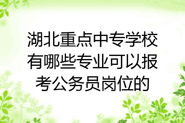 湖北重点中专学校有哪些专业可以报考公务员岗位的