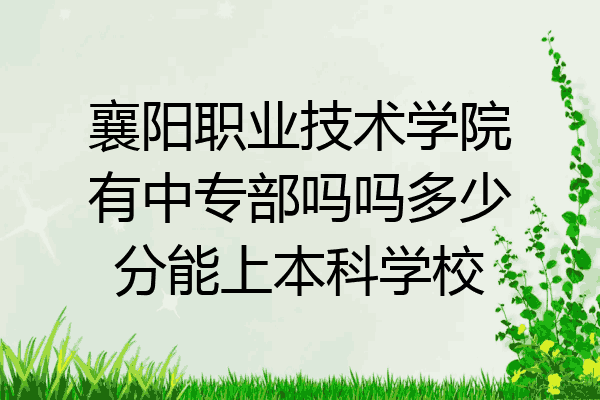襄阳职业技术学院有中专部吗吗多少分能上本科学校