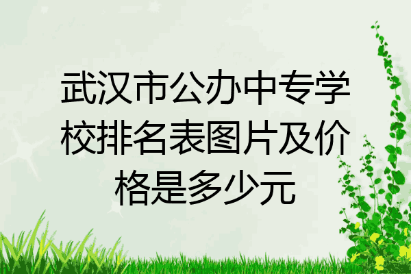 武汉市公办中专学校排名表图片及价格是多少元