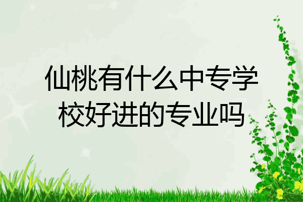 仙桃有什么中专学校好进的专业吗