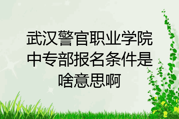 武汉警官职业学院中专部报名条件是啥意思啊