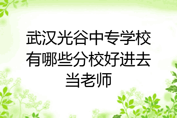 武汉光谷中专学校有哪些分校好进去当老师