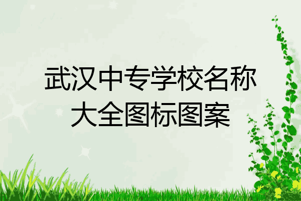 武汉中专学校名称大全图标图案