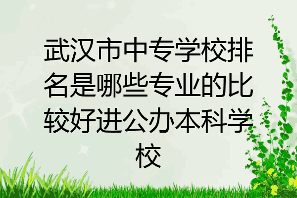 武汉市中专学校排名是哪些专业的比较好进公办本科学校