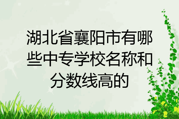 湖北省襄阳市有哪些中专学校名称和分数线高的