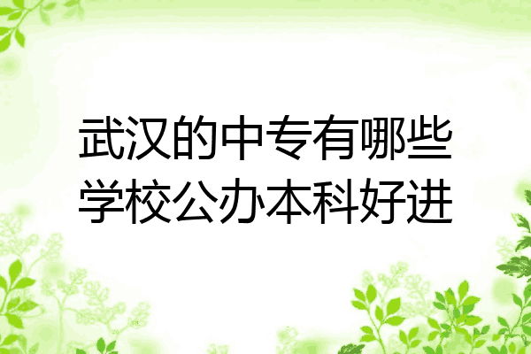 武汉的中专有哪些学校公办本科好进