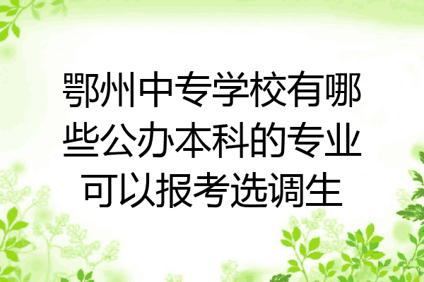 鄂州中专学校有哪些公办本科的专业可以报考选调生