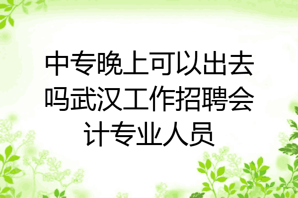 中专晚上可以出去吗武汉工作招聘会计专业人员