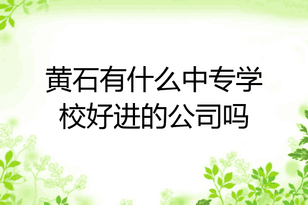 黄石有什么中专学校好进的公司吗